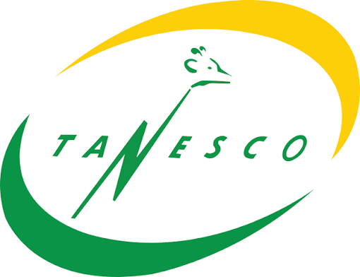 Tanzania Electric Supply Company Limited (TANESCO)